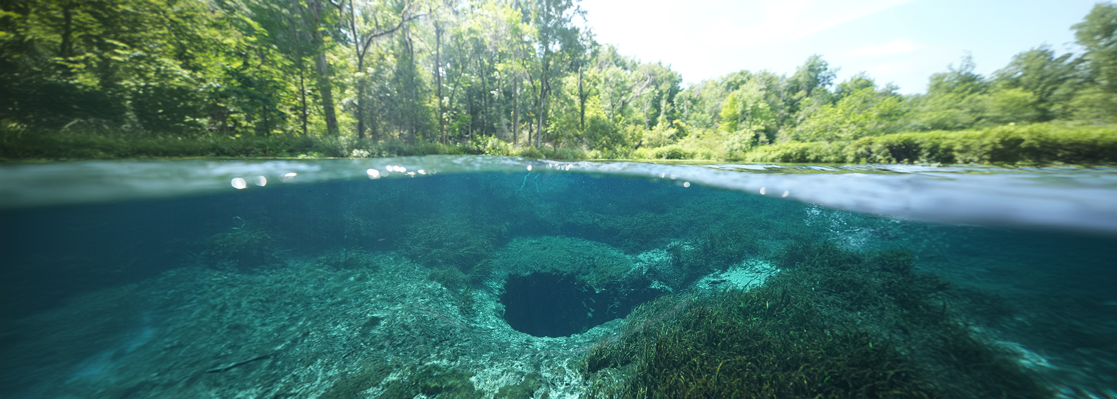 Ichetucknee Springs Blue Hole