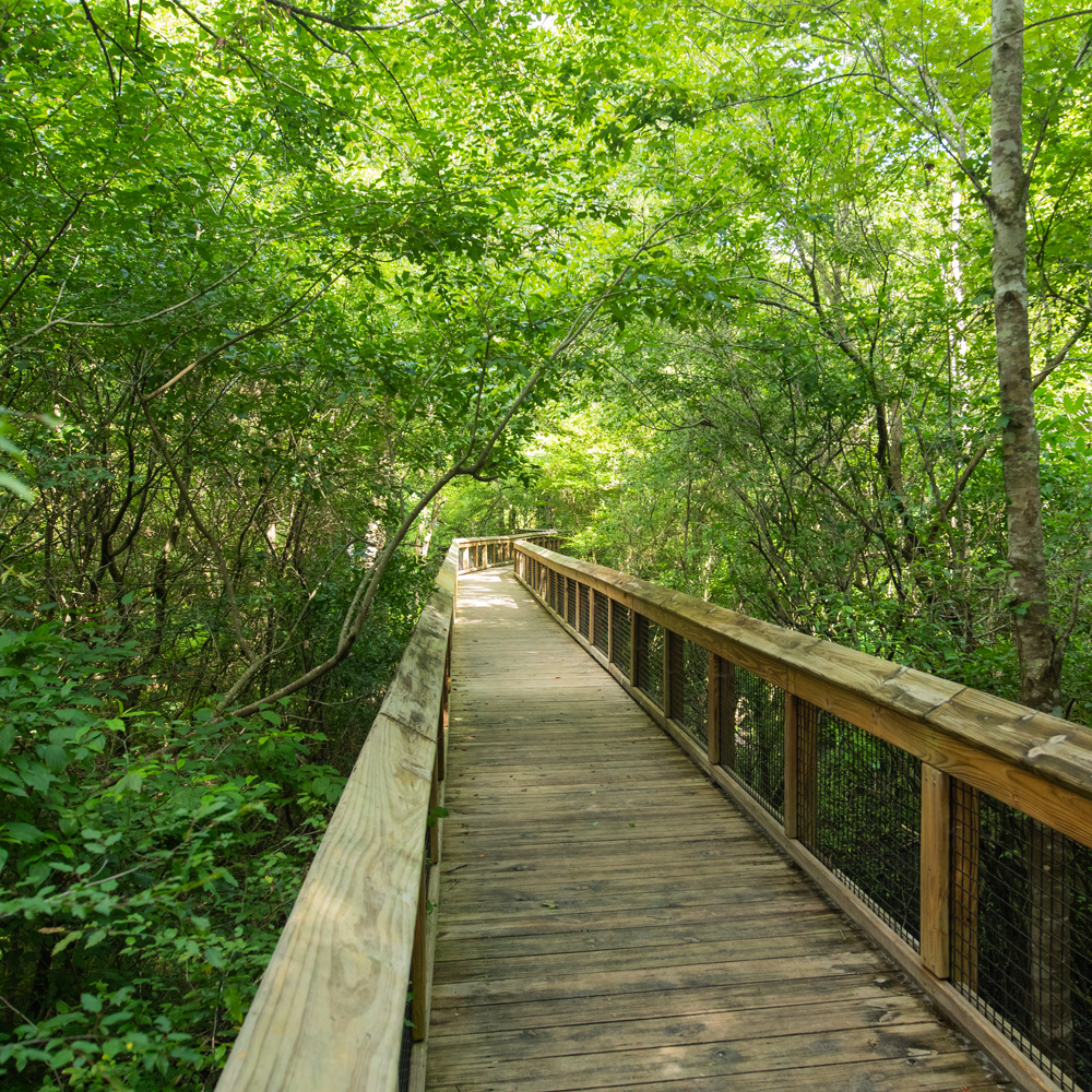 Blue Hole Hiking Trail