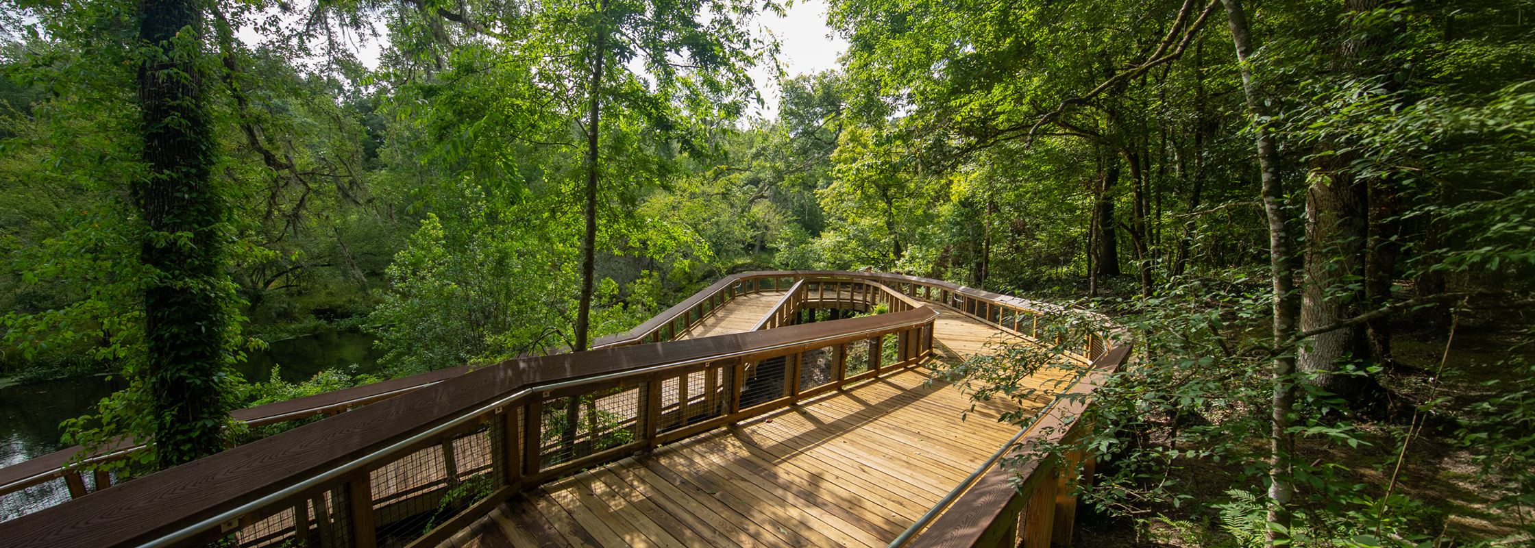 North entrance boardwalk