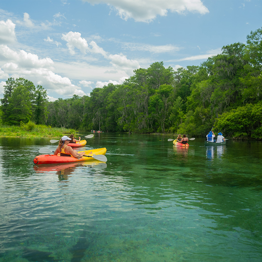 Group paddle